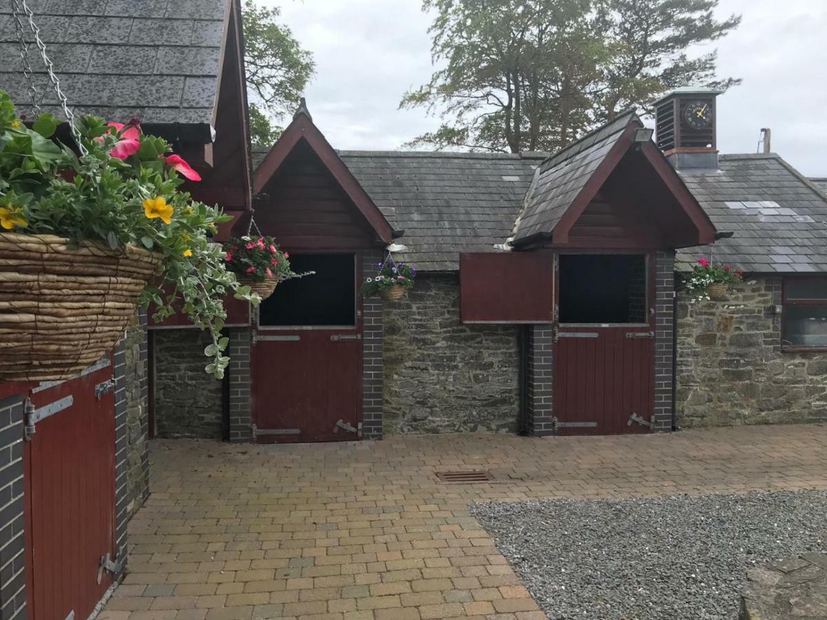 Llangwyryfon Country Breaks Bed & Breakfast Aberystwyth Exterior foto