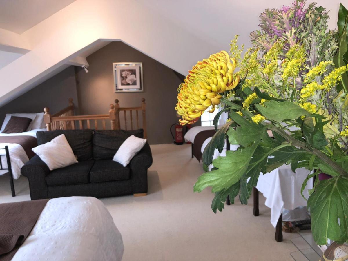 Llangwyryfon Country Breaks Bed & Breakfast Aberystwyth Exterior foto